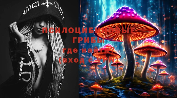 эйфоретик Надым