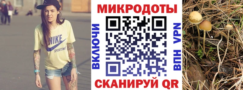 купить наркотик  Уяр  Галлюциногенные грибы прущие грибы 